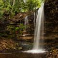 Hilton Falls Conservation Area. Photo by Mark Zelinski.