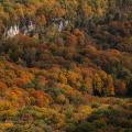 Rattlesnake Point overlooking Nassagawa Canyon. Photo by Mark Zelinski.